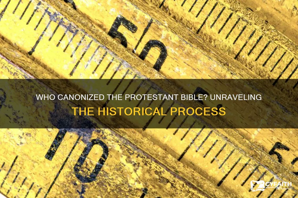 who canonized the protestant bible