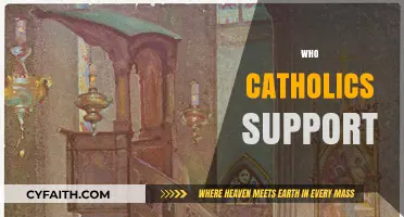 Who Do Catholics Support? Exploring Political and Social Allegiances