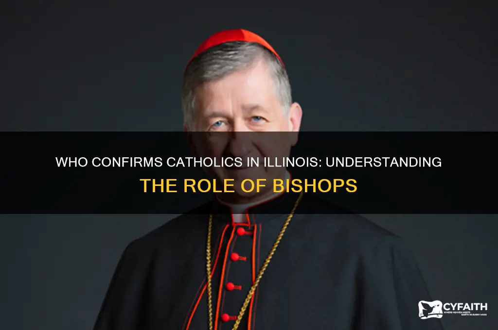 who confirms catholics in illinois