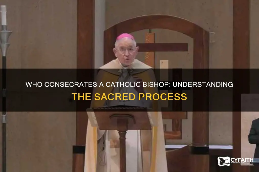 who consecrates a catholic bishop