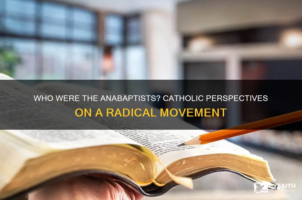 who did catholics consider anabaptists