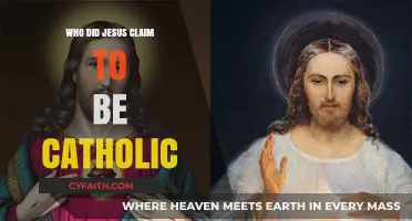 Jesus' Identity in Catholic Tradition: Divine Claims and Scriptural Insights