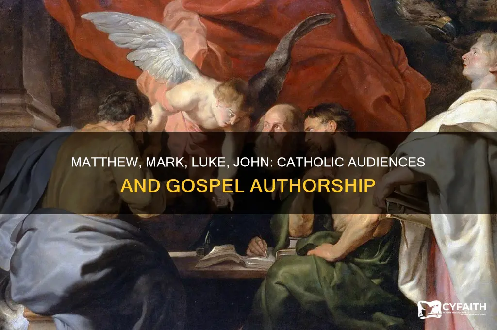 who did matthew mark luke and john write for catholic