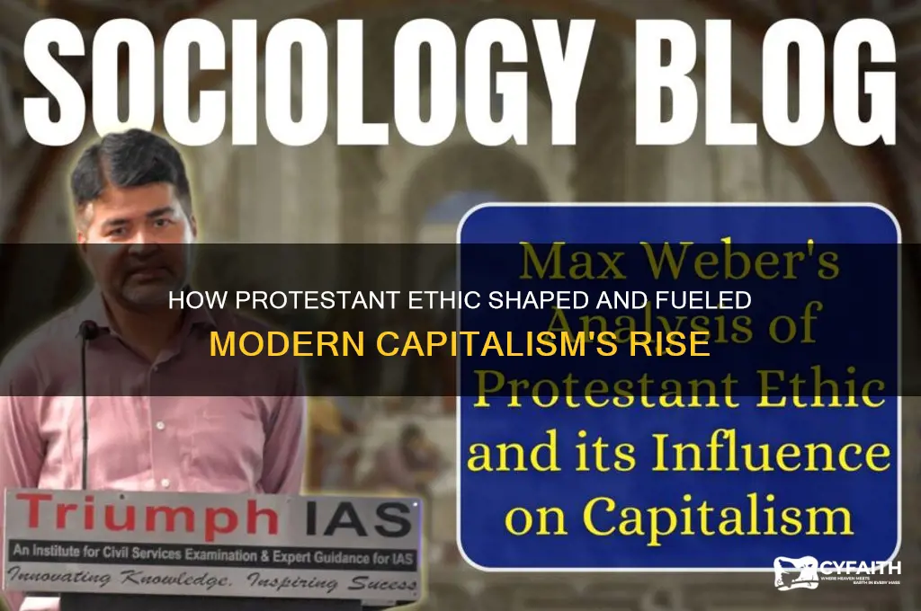 who did protestant ethic contribute to capitalism