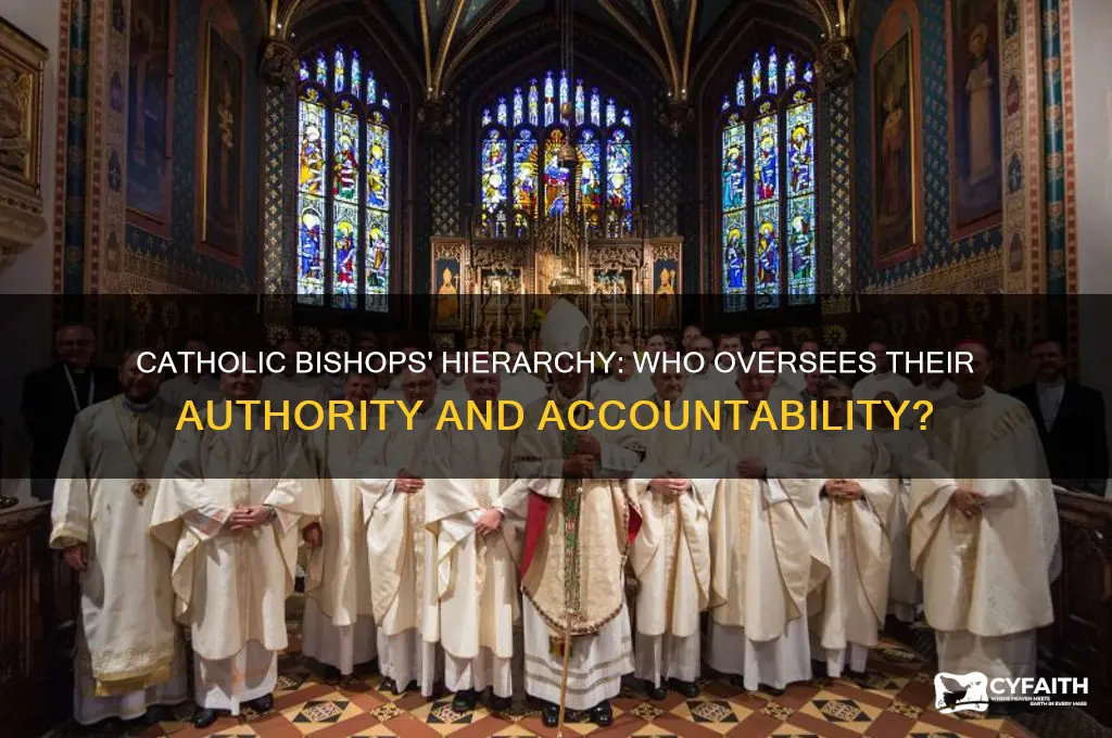 who do catholic bishops report to