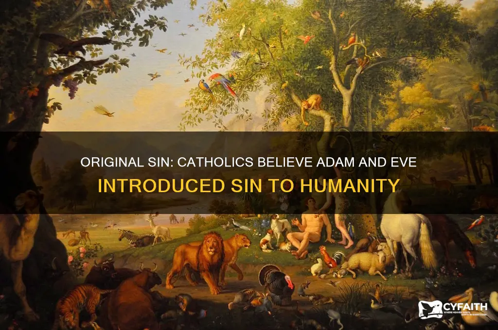 who do catholics belives brought sin to this world
