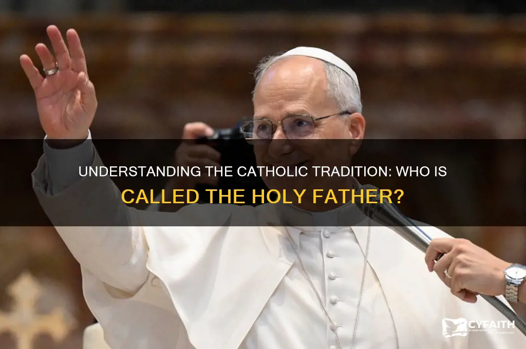 who do catholics call holy father