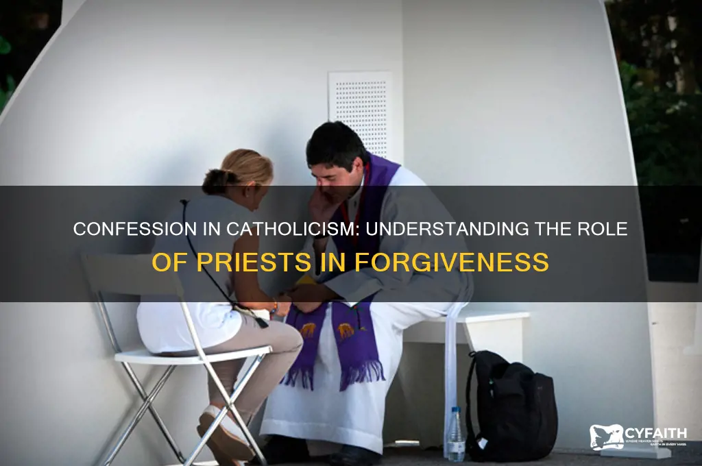who do catholics confess their sins to