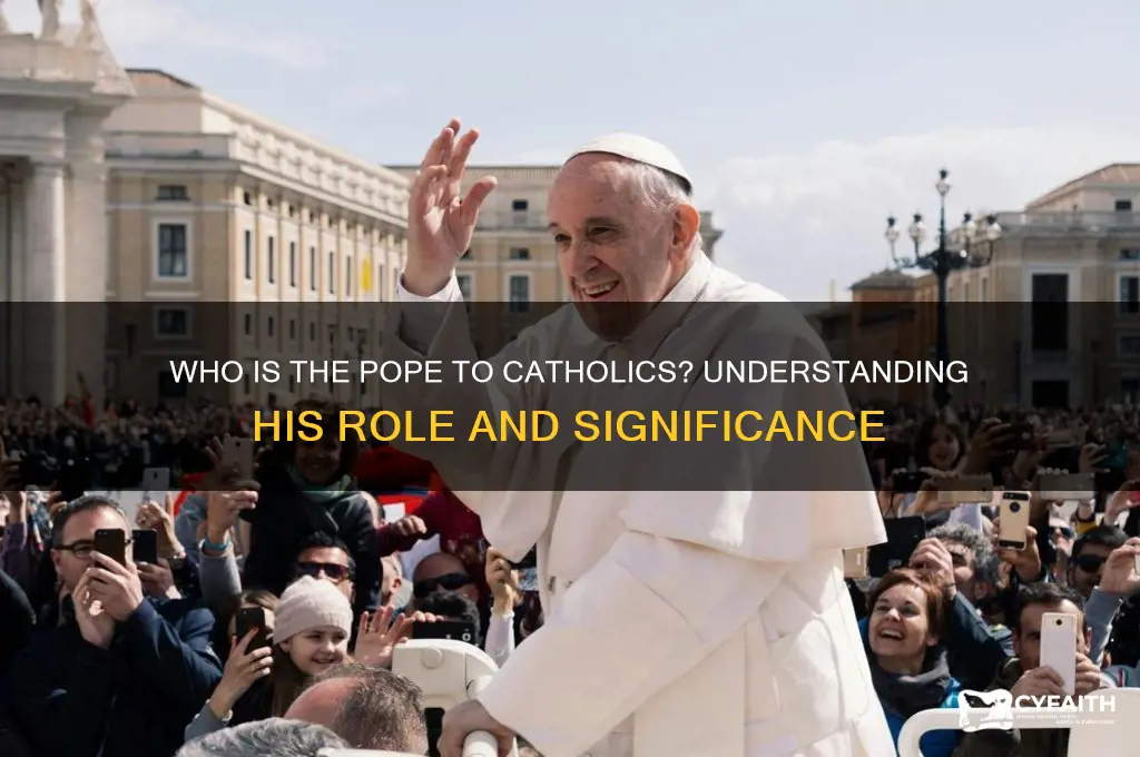 who do catholics say the pope is
