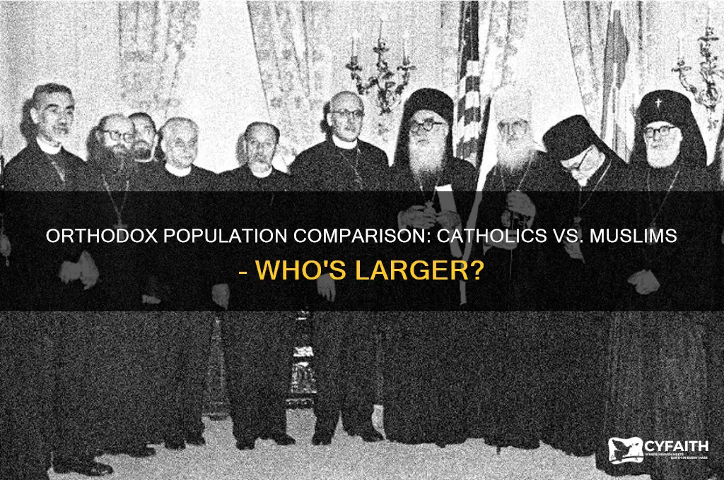 who do orthodox have more catholics or muslims