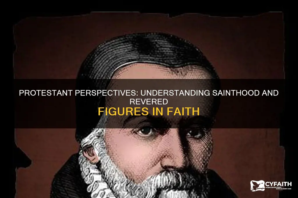 who does a protestant believe is a saint