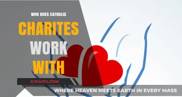 Catholic Charities' Partnerships: Collaborating for Community Impact and Support
