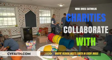 Catholic Charities' Collaborative Network: Partners in Faith-Based Service