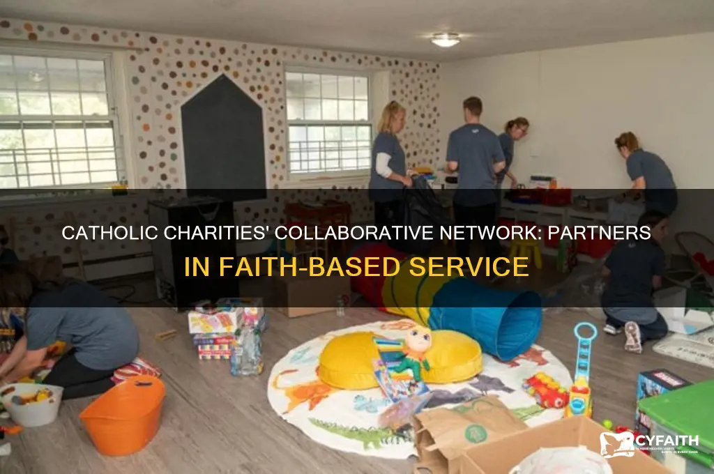 who does catholic charities collaborate with