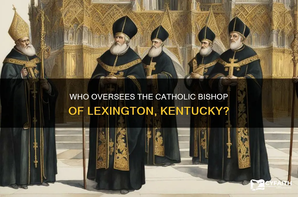 who does the catholic bisho of lexington ky report to