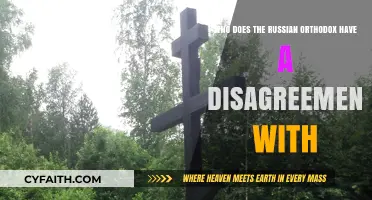 Russian Orthodox Church's Disputes: Who Are They at Odds With?