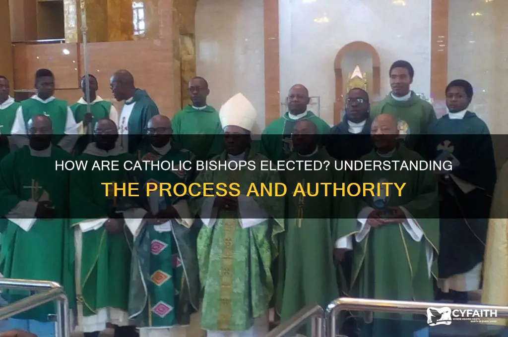 who elects catholic bishops