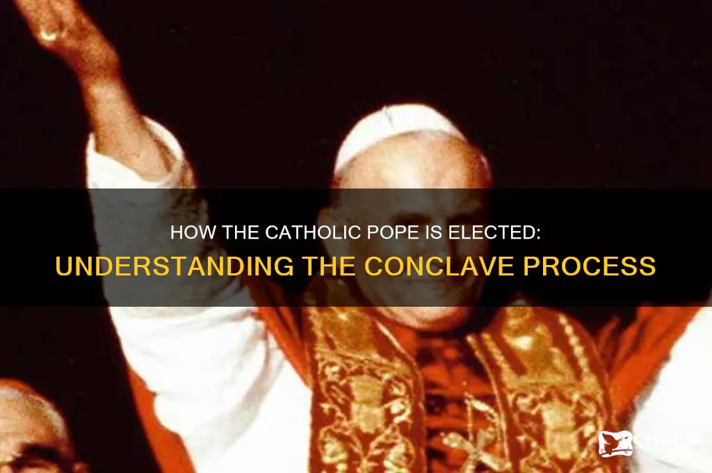who elects the catholic pope