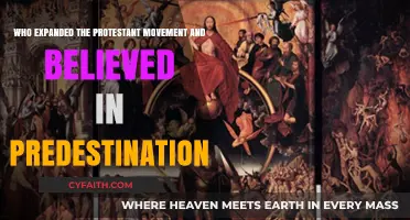 John Calvin: The Architect of Protestant Expansion and Predestination