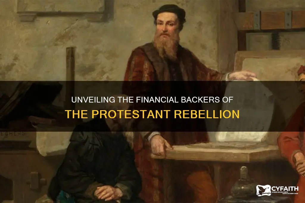 who financially supported the protestant rebels