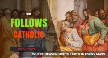 Who Follows Catholic Teachings? Exploring Devout Adherents and Practices