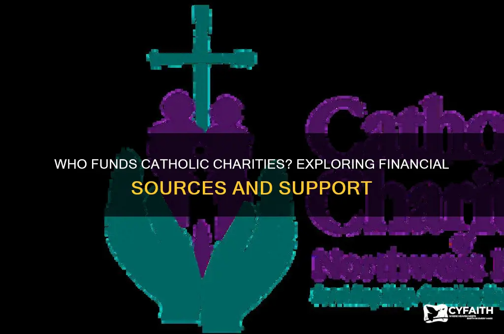 who funds catholic charities