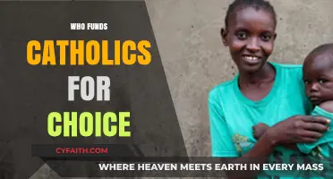 Unveiling the Financial Backers of Catholics for Choice: A Comprehensive Analysis