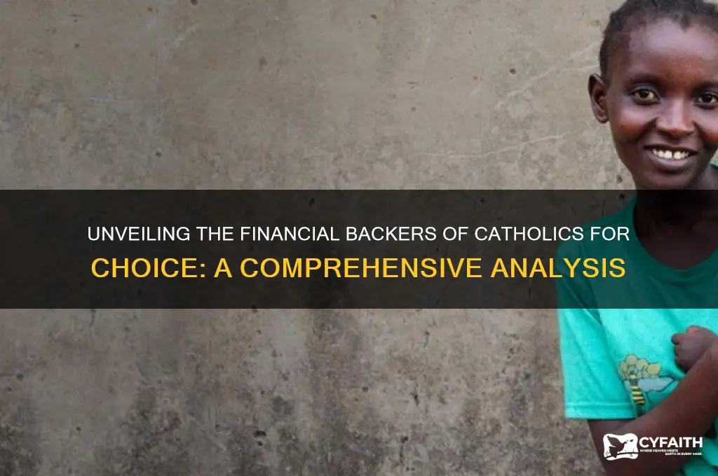 who funds catholics for choice