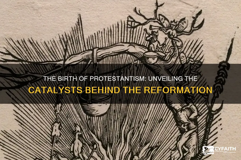 who gave birth to the protestant reformation movement