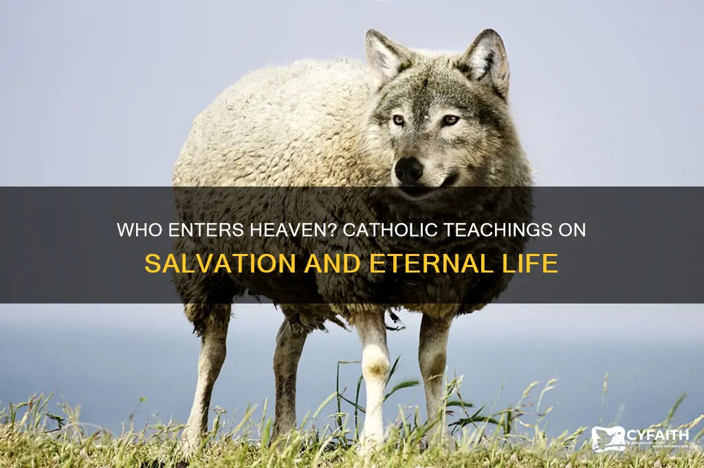 who gets to heaven catholic