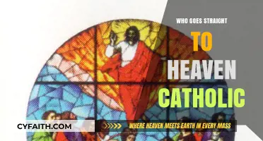 Who Enters Heaven Directly? Catholic Teachings on Salvation and Grace