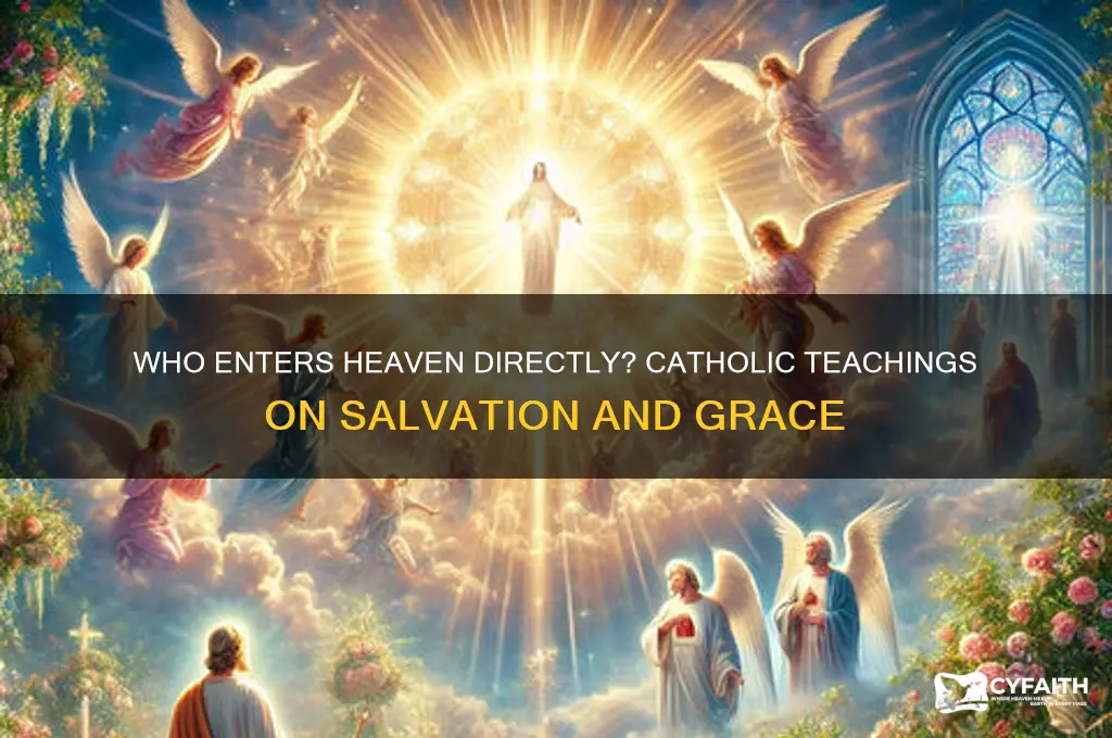 who goes straight to heaven catholic