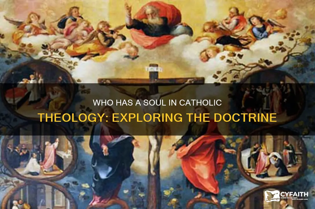 who has a soul catholic