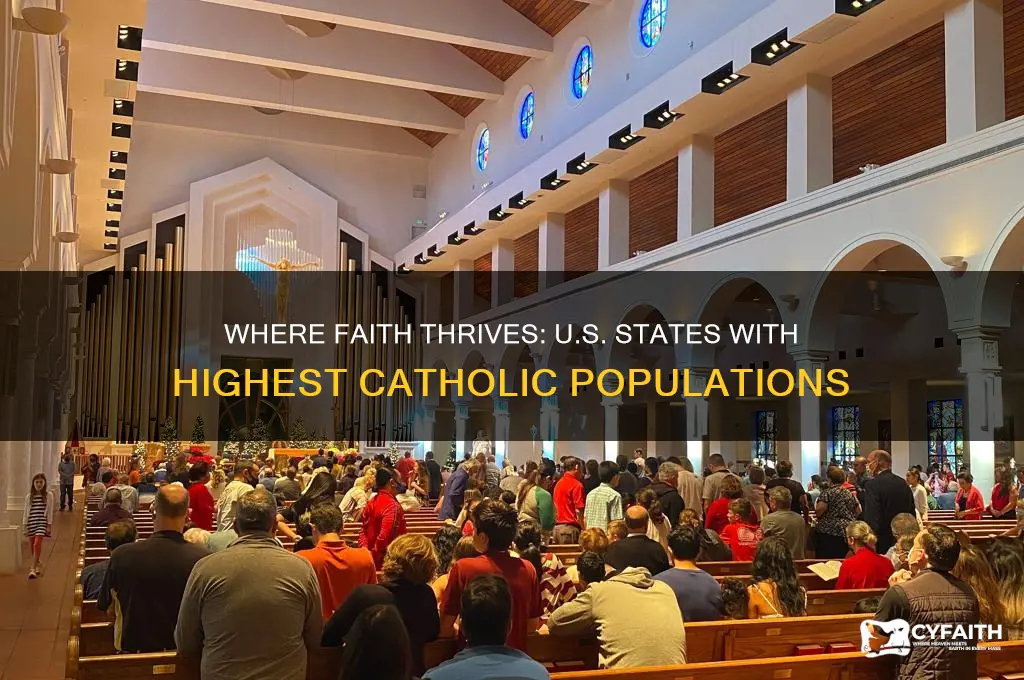 who has the most catholics live in the united states