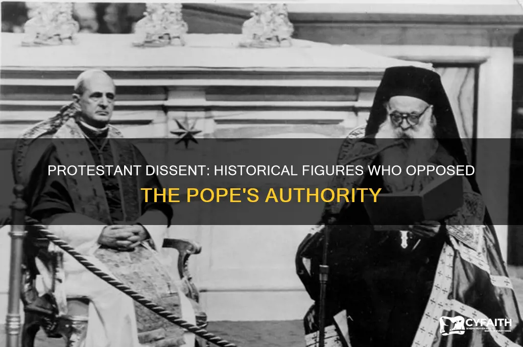 who hated the pope protestant