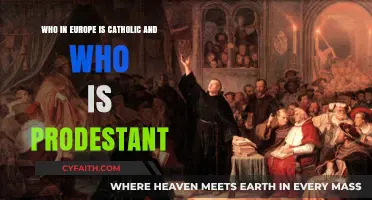 Exploring Europe's Religious Divide: Catholic vs. Protestant Populations