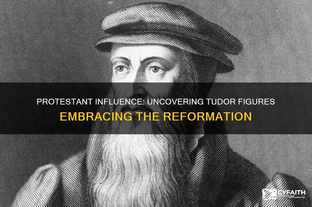who in the tudors is protestant