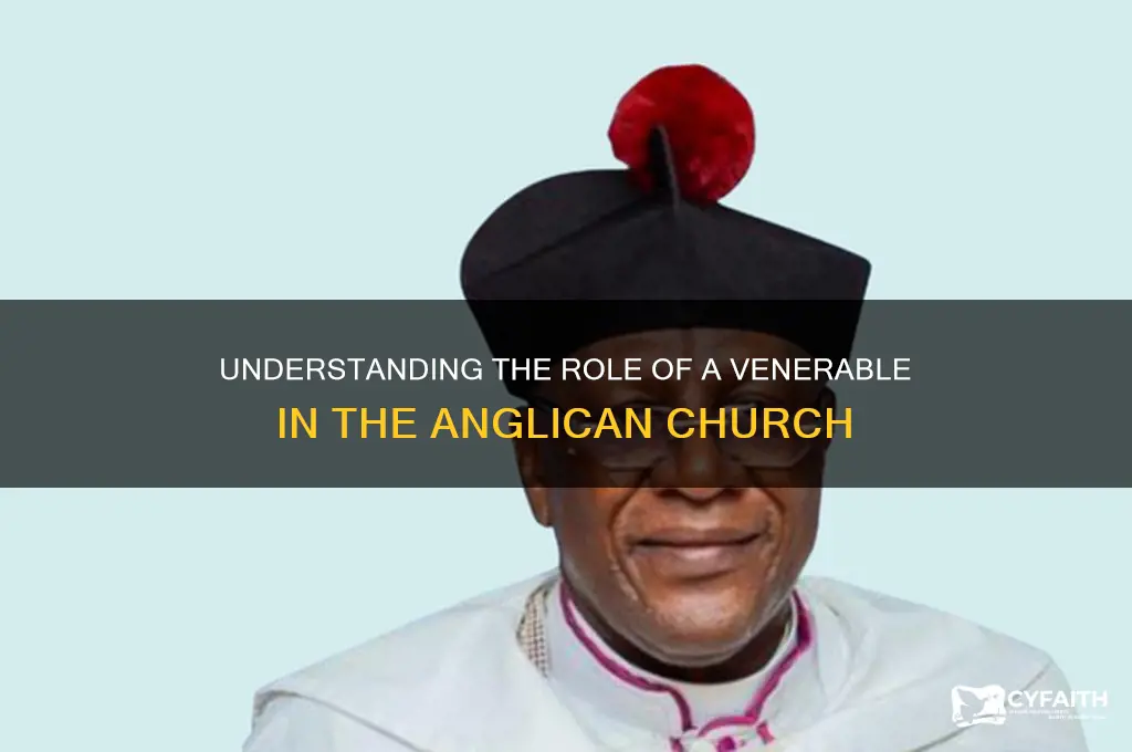 who is a venerable in the anglican church