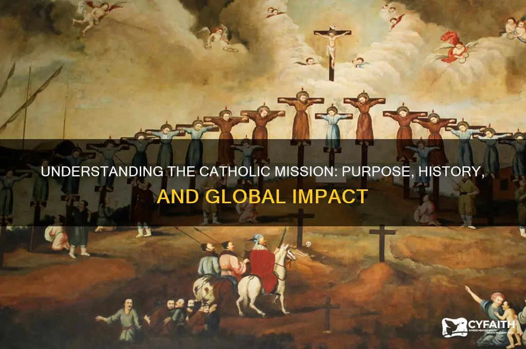 who is catholic mission
