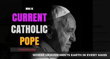 Meet Pope Francis: The Current Leader of the Catholic Church