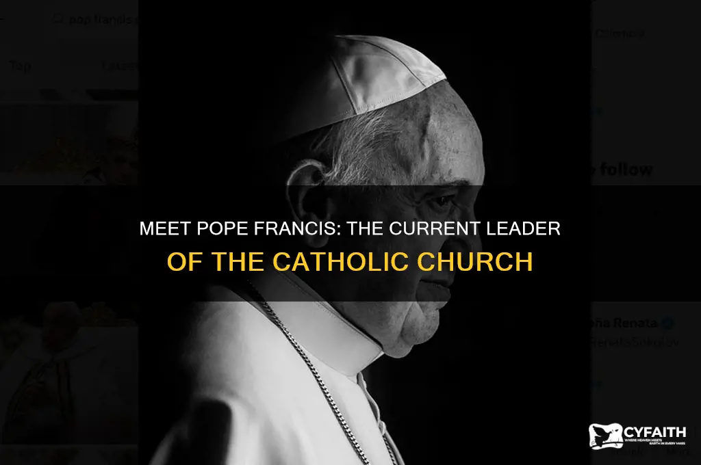 who is current catholic pope