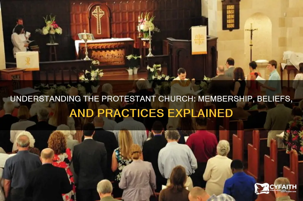 who is in the protestant church