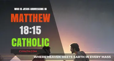 Understanding Jesus' Audience in Matthew 18:15: A Catholic Perspective