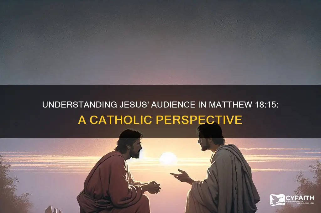 who is jesus addressing in matthew 18:15 catholic