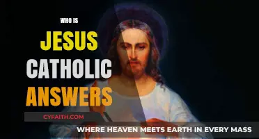 Understanding Jesus: Catholic Insights on His Life, Mission, and Divinity