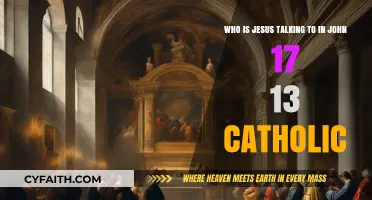 Understanding Jesus' Audience in John 17:13: A Catholic Perspective