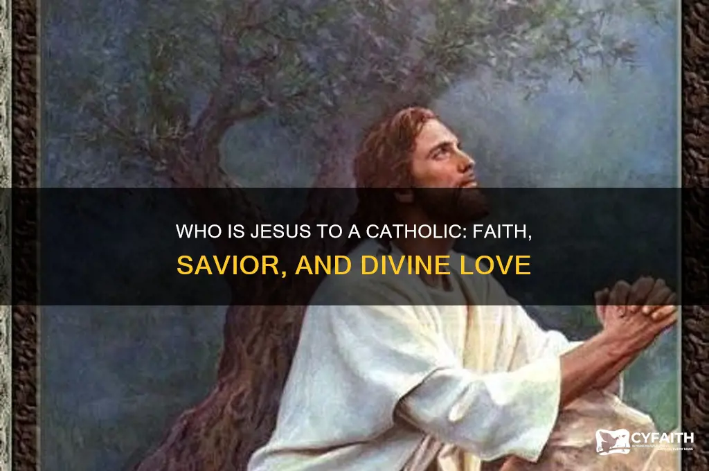 who is jesus to a catholic