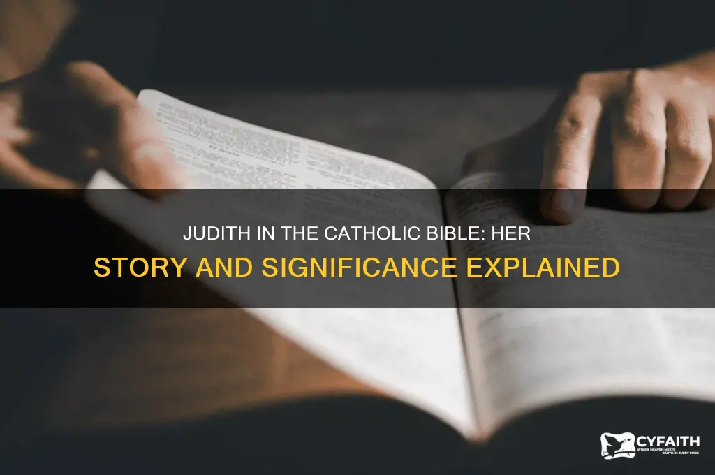who is judith in catholic blble