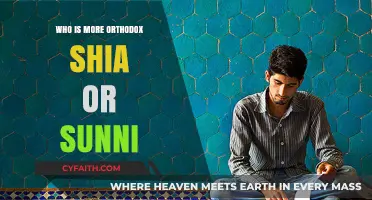 Shia vs. Sunni: Unraveling the Orthodoxy Debate in Islam