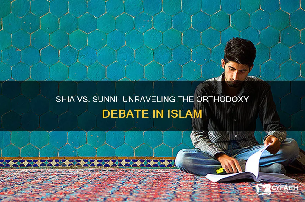who is more orthodox shia or sunni